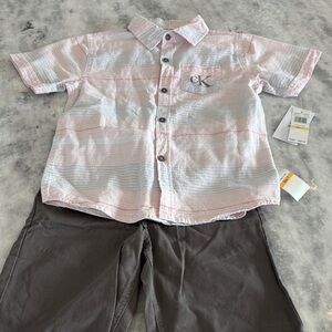 Calvin Klein Shorts and Button Down